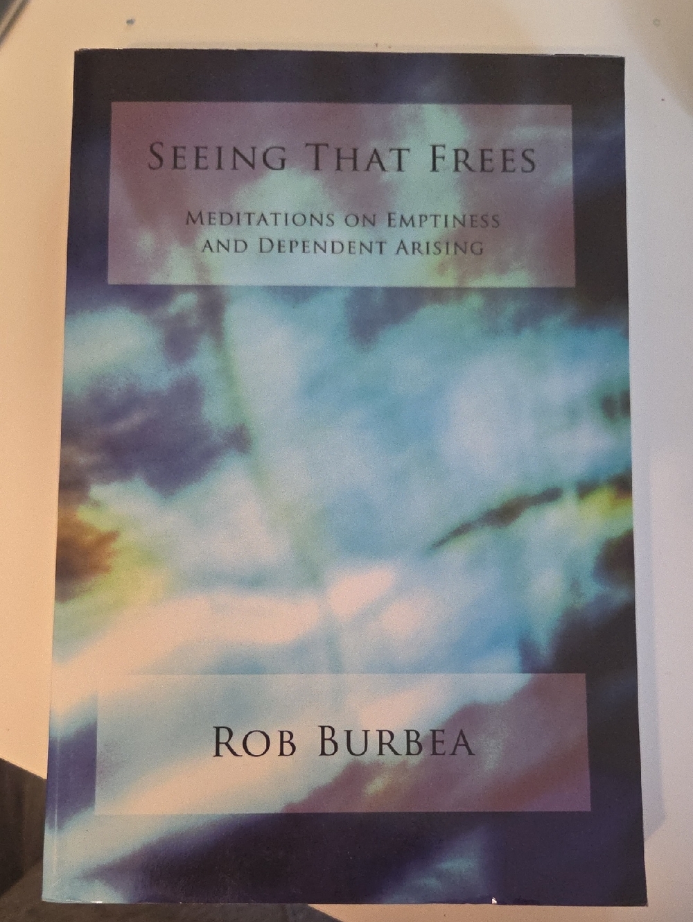 Seeing That Frees by Rob Burbea -